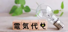 電気代高騰にも備えられます