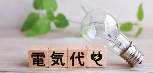 電気代高騰にも備えられます