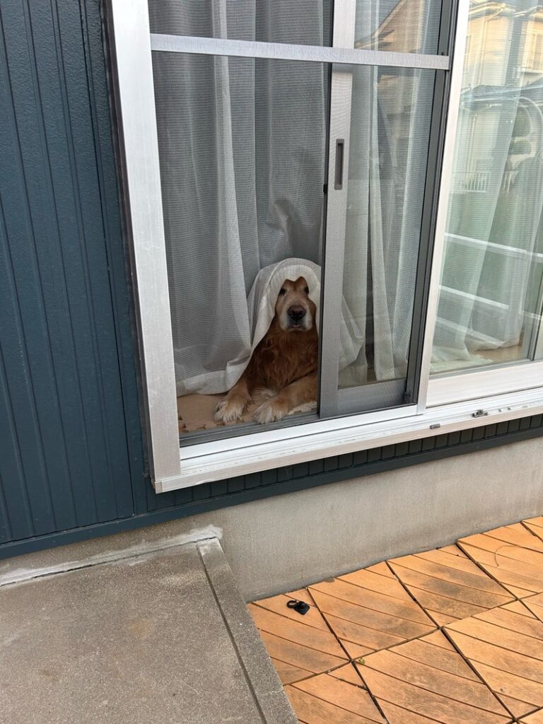 わたしでも育つ!? 夏から始める家庭菜園入門