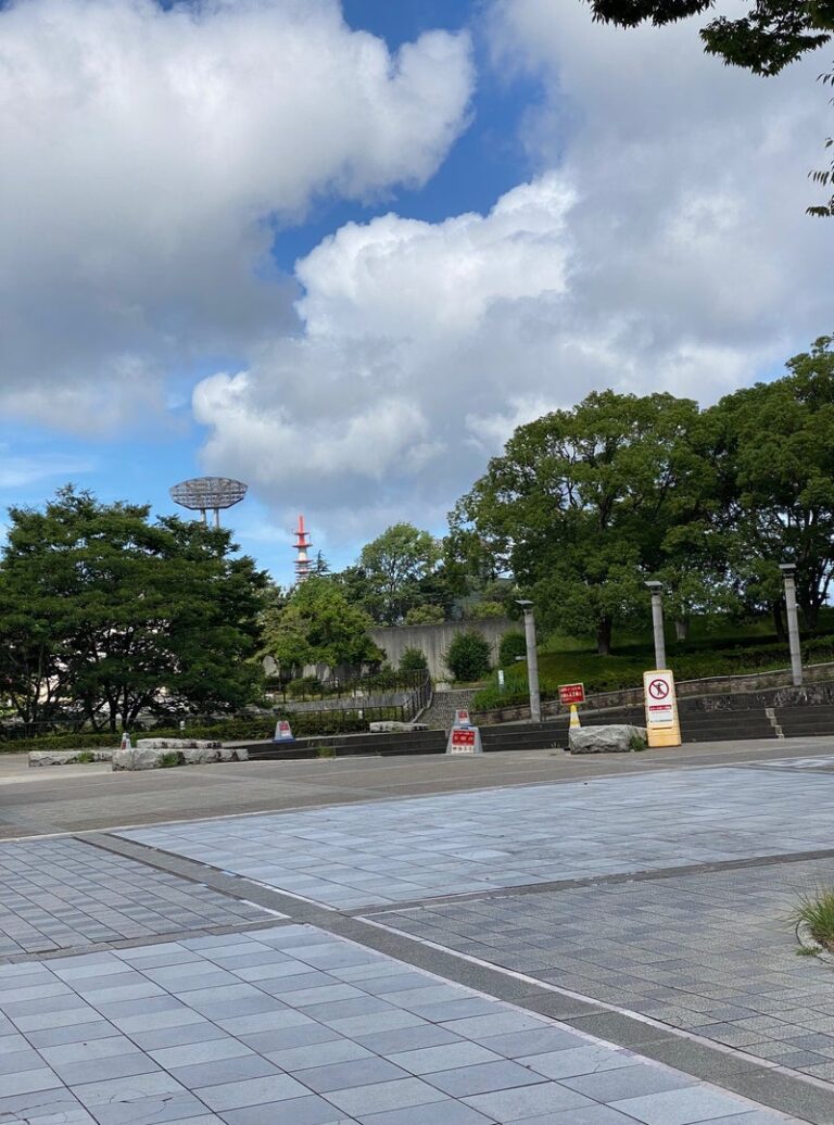 母校の夏を追いかけて——毎年通う、私の“夏フェス”