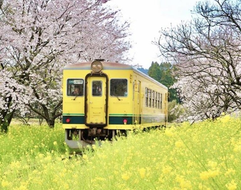 いすみ市鉄道