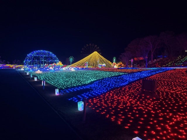 東京ドイツ村へ行ってきました