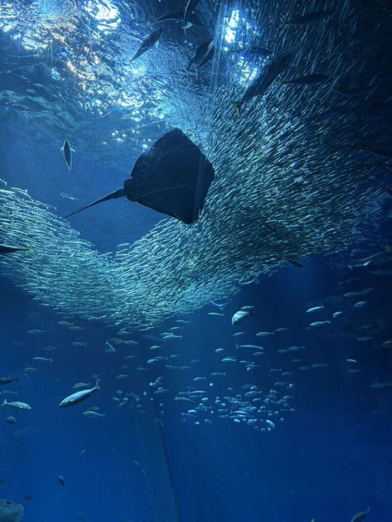 海とグルメの旅 in茨城
